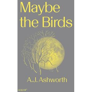Ashworth, A. J. Maybe the Birds (Goldsmiths Press / Gold SF) Ashworth, A. J. Maybe the Birds (Goldsmiths Press / Gold SF)