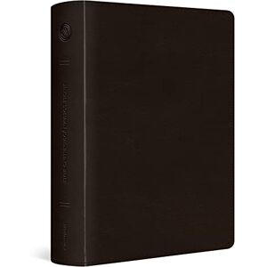 ESV Single Column Journaling Bible, Large Print (TruTone, Deep Brown): Single Column Journaling Bible, Trutone, Deep Brown ESV Single Column Journaling Bible, Large Print (TruTone, Deep Brown): Single Column Journaling Bible, Trutone, Deep Brown