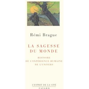 Brague, Rémi La Sagesse du monde : Histoire de l'expérience humaine de l'univers (L'Esprit de La Cite) Brague, Rémi La Sagesse du monde : Histoire de l'expérience humaine de l'univers (L'Esprit de La Cite)