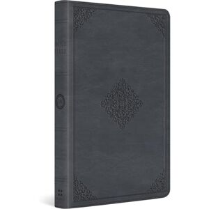 ESV Large Print Thinline Bible (TruTone, Azurite Blue, Ornament Design): Thinline Bible Trutone, Azurite Blue, Ornament Design ESV Large Print Thinline Bible (TruTone, Azurite Blue, Ornament Design): Thinline Bible Trutone, Azurite Blue, Ornament Design