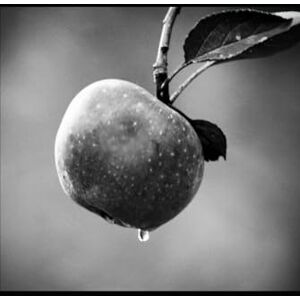 Masilela, Maria When We Fell Silent: A Story of Love, Loss, and Finding Home Again Masilela, Maria When We Fell Silent: A Story of Love, Loss, and Finding Home Again