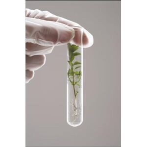 Van, Dr. Thien Ha The Doha deadlock: Health Technologies, Digitalization & Challenges: Conference Proceedings (2024) (The Doha deadlock- IPRs & Climate Change (Conference Proceedings)) Van, Dr. Thien Ha The Doha deadlock: Health Technologies, Digitalization & Challenges: Conference Proceedings (2024) (The Doha deadlock- IPRs & Climate Change (Conference Proceedings))