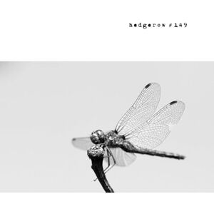 Skanne, ed. Caroline hedgerow #149: a journal of small poems Skanne, ed. Caroline hedgerow #149: a journal of small poems