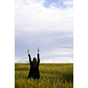 MITCHELL, NORMA JEAN THE ABUSER'S WIFE: INNOCENT OR GUILTY MITCHELL, NORMA JEAN THE ABUSER'S WIFE: INNOCENT OR GUILTY