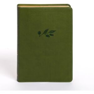 KJV Personal Size Giant Print Bible, Olive KJV Personal Size Giant Print Bible, Olive