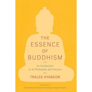 Traleg Kyabgon The Essence of Buddhism: An Introduction to Its Philosophy and Practice (Shambhala Dragon Editions) Traleg Kyabgon The Essence of Buddhism: An Introduction to Its Philosophy and Practice (Shambhala Dragon Editions)