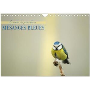 Aupeix, Jérôme Mésanges bleues (Calendrier mural 2027 DIN A4 vertical), CALVENDO calendrier mensuel: Apportez une touche de nature et de légèreté à votre quotidien ... calendriers dédiés aux mésanges bleues. Aupeix, Jérôme Mésanges bleues (Calendrier mural 2027 DIN A4 vertical), CALVENDO calendrier mensuel: Apportez une touche de nature et de légèreté à votre quotidien ... calendriers dédiés aux mésanges bleues.