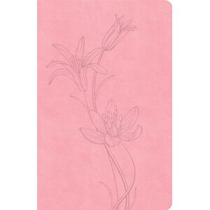 Csb Bibles By Holman CSB Thinline Bible, Value Edition, Soft Pink Leathertouch Csb Bibles By Holman CSB Thinline Bible, Value Edition, Soft Pink Leathertouch