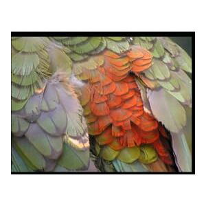 chen, wenxue I Ching (YIJING) chen, wenxue I Ching (YIJING)