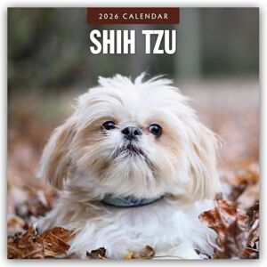 Red Robin Shih Tzu 2026 Square Wall Calendar Red Robin Shih Tzu 2026 Square Wall Calendar
