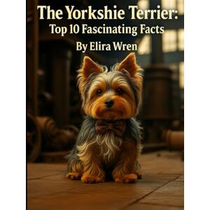 Wren, Elira The Yorkshire Terrier: Top 10 Fascinating Facts (Mans Best Friend) Wren, Elira The Yorkshire Terrier: Top 10 Fascinating Facts (Mans Best Friend)