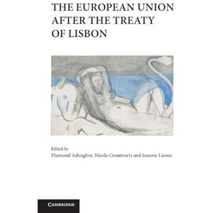 The European Union after the Treaty of Lisbon The European Union after the Treaty of Lisbon