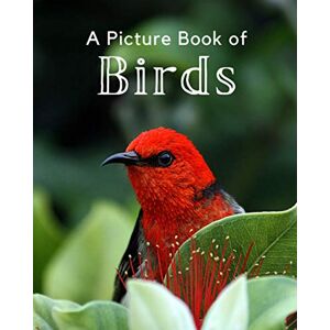 A Bee's Life Press A Picture Book of Birds: A Beautiful Picture Book for Seniors With Alzheimer’s or Dementia. A Perfect Gift For Bird Lovers!: 1 (Picture Books For Seniors) A Bee's Life Press A Picture Book of Birds: A Beautiful Picture Book for Seniors With Alzheimer’s or Dementia. A Perfect Gift For Bird Lovers!: 1 (Picture Books For Seniors)