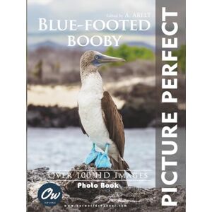World, Our Blue-footed booby: Picture Perfect Photo Book World, Our Blue-footed booby: Picture Perfect Photo Book