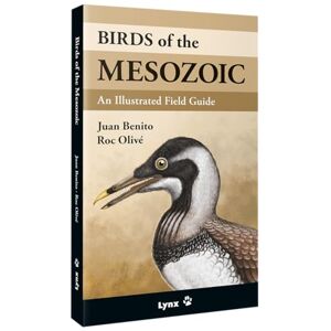 Benito, Juan Birds of the Mesozoic: An Illustrated Field Guide Benito, Juan Birds of the Mesozoic: An Illustrated Field Guide