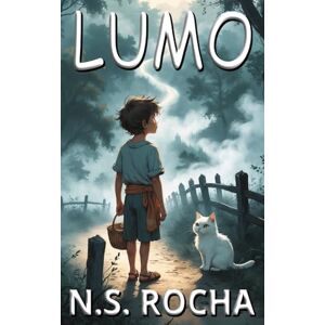 Rocha, N.S. LUMO (The LAYCO Framework) Rocha, N.S. LUMO (The LAYCO Framework)