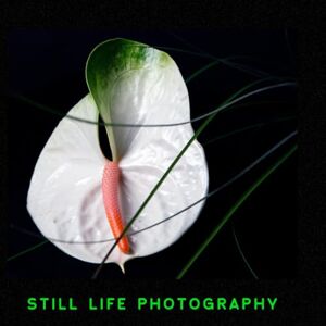 MONTESINOS, JAYRO STILL LIFE PHOTOGRAPHY: FLOWERS, FRUITS AND MARINES, COLOR AND BLACK AND WHITE MONTESINOS, JAYRO STILL LIFE PHOTOGRAPHY: FLOWERS, FRUITS AND MARINES, COLOR AND BLACK AND WHITE