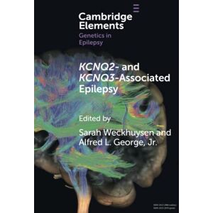 KCNQ2- and KCNQ3-Associated Epilepsy (Elements in Genetics in Epilepsy) KCNQ2- and KCNQ3-Associated Epilepsy (Elements in Genetics in Epilepsy)