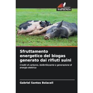 Santos Bolacell, Gabriel Sfruttamento energetico del biogas generato dai rifiuti suini: Crediti di carbonio, biofertilizzante e generazione di energia elettrica Santos Bolacell, Gabriel Sfruttamento energetico del biogas generato dai rifiuti suini: Crediti di carbonio, biofertilizzante e generazione di energia elettrica