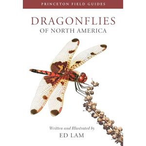 Lam, Ed Dragonflies of North America: 167 (Princeton Field Guides) Lam, Ed Dragonflies of North America: 167 (Princeton Field Guides)