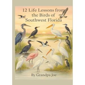 Sweeney, Joe 12 Life Lessons from the Birds of Southwest Florida (Grandpa Joe's Life Lessons Library) Sweeney, Joe 12 Life Lessons from the Birds of Southwest Florida (Grandpa Joe's Life Lessons Library)