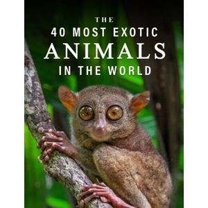 Blue Clover Books The 40 Most Exotic Animals in the World: A full color picture book for Seniors with Alzheimer's or Dementia (The "Most Beautiful World" Series) Blue Clover Books The 40 Most Exotic Animals in the World: A full color picture book for Seniors with Alzheimer's or Dementia (The "Most Beautiful World" Series)