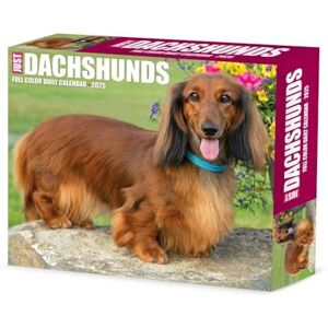 Willow Creek Dachshunds 2025 Box Willow Creek Dachshunds 2025 Box