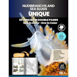English, Zenofauna Nudibranchs and Sea Slugs – Unique: Educational Illustrated Book with 30 Marine Species – Cultural Profiles in Color and Coloring Pages, Ideal for Kids, Teens, and Curious Families English, Zenofauna Nudibranchs and Sea Slugs – Unique: Educational Illustrated Book with 30 Marine Species – Cultural Profiles in Color and Coloring Pages, Ideal for Kids, Teens, and Curious Families