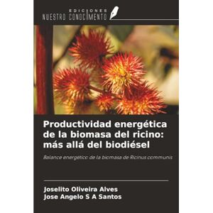 Oliveira Alves, Joselito Productividad energética de la biomasa del ricino: más allá del biodiésel: Balance energético de la biomasa de Ricinus communis Oliveira Alves, Joselito Productividad energética de la biomasa del ricino: más allá del biodiésel: Balance energético de la biomasa de Ricinus communis