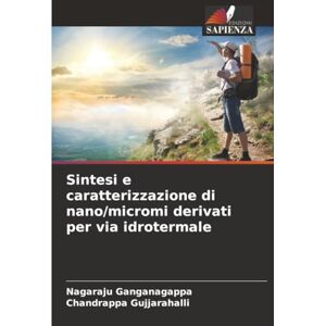 Ganganagappa, Nagaraju Sintesi e caratterizzazione di nano/micromi derivati per via idrotermale Ganganagappa, Nagaraju Sintesi e caratterizzazione di nano/micromi derivati per via idrotermale