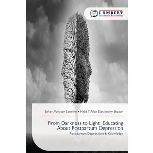 Ebrahim, Sahar Mansour From Darkness to Light: Educating About Postpartum Depression Ebrahim, Sahar Mansour From Darkness to Light: Educating About Postpartum Depression