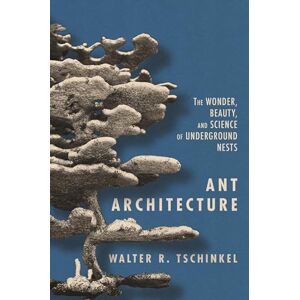 Tschinkel Ant Architecture: The Wonder, Beauty, and Science of Underground Nests Tschinkel Ant Architecture: The Wonder, Beauty, and Science of Underground Nests