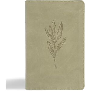 B&H Publishing Group CSB Large Print Personal Size Reference Bible, Digital Study B&H Publishing Group CSB Large Print Personal Size Reference Bible, Digital Study