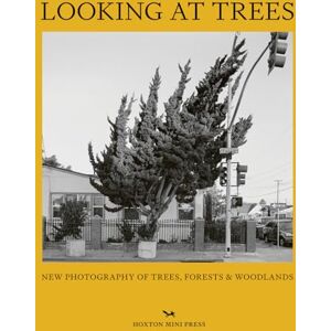 Sophie Howarth Looking At Trees: New Photography of Trees, Forests & Woodlands Sophie Howarth Looking At Trees: New Photography of Trees, Forests & Woodlands