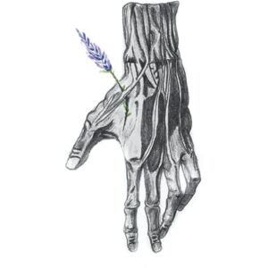 DMLM, Dessine-moi la médecine Carnet de Notes Notebook Poetic Anatomy Collection : the hand: (couverture vernis, papier crème) DMLM, Dessine-moi la médecine Carnet de Notes Notebook Poetic Anatomy Collection : the hand: (couverture vernis, papier crème)