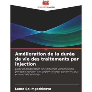 Salimgozhinova, Laura Amélioration de la durée de vie des traitements par injection: Étude de modélisation de l'impact de la fracturation pendant l'injection afin de permettre un placement plus profond de l'inhibiteur Salimgozhinova, Laura Amélioration de la durée de vie des traitements par injection: Étude de modélisation de l'impact de la fracturation pendant l'injection afin de permettre un placement plus profond de l'inhibiteur