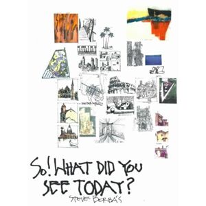Borbas, Steve So! What Did You See Today?: The Art of Steve Borbas Borbas, Steve So! What Did You See Today?: The Art of Steve Borbas