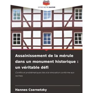 Csernetzky, Hannes Assainissement de la mérule dans un monument historique : un véritable défi: Conflits et problématiques liés à la rénovation conforme aux normes Csernetzky, Hannes Assainissement de la mérule dans un monument historique : un véritable défi: Conflits et problématiques liés à la rénovation conforme aux normes