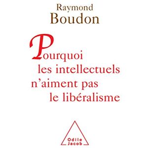 Boudon, Raymond Why intellectuals don't like liberalism / Pourquoi les intellectuels n'aiment pas le libéralisme Boudon, Raymond Why intellectuals don't like liberalism / Pourquoi les intellectuels n'aiment pas le libéralisme