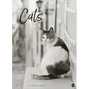 Cats Edition Kalender 2026: Elegante Samtpfoten in schwarz-weiß in einem XXL-Kalender. Tierkalender 2026 im Großformat. Hochwertiger großer Fotokalender für Katzenfans. Cats Edition Kalender 2026: Elegante Samtpfoten in schwarz-weiß in einem XXL-Kalender. Tierkalender 2026 im Großformat. Hochwertiger großer Fotokalender für Katzenfans.