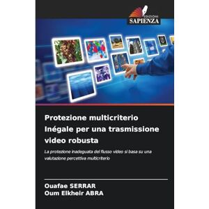Serrar, Ouafae Protezione multicriterio Inégale per una trasmissione video robusta: La protezione inadeguata del flusso video si basa su una valutazione percettiva multicriterio Serrar, Ouafae Protezione multicriterio Inégale per una trasmissione video robusta: La protezione inadeguata del flusso video si basa su una valutazione percettiva multicriterio