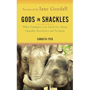 IYER, SANGITA Gods in Shackles: What Elephants Can Teach Us About Empathy, Resilience and Freedom IYER, SANGITA Gods in Shackles: What Elephants Can Teach Us About Empathy, Resilience and Freedom