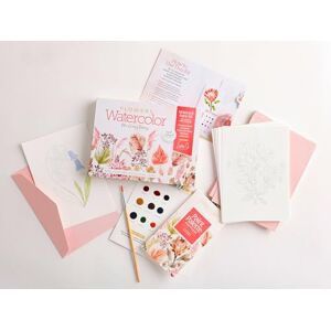 Sara Berrenson Watercolor the Easy Way Paint-Your-Own Watercolor Cards Flowers: Notecard Paint Kit with Paint and Brush Included: 3 Sara Berrenson Watercolor the Easy Way Paint-Your-Own Watercolor Cards Flowers: Notecard Paint Kit with Paint and Brush Included: 3