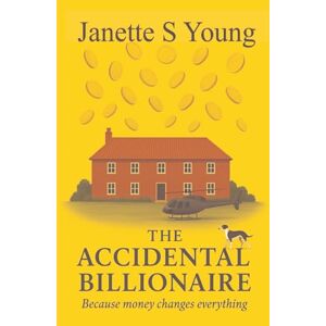 Young, Janette S The Accidental Billionaire: Because money changes everything Young, Janette S The Accidental Billionaire: Because money changes everything