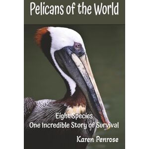 Penrose, Karen Pelicans of the World: Eight Species, One Incredible Story of Survival: Facts for Kids/Wetland Habitat/Seabirds/Conservation/Endangered ... Science/Pelican Anatomy/Educational Penrose, Karen Pelicans of the World: Eight Species, One Incredible Story of Survival: Facts for Kids/Wetland Habitat/Seabirds/Conservation/Endangered ... Science/Pelican Anatomy/Educational