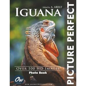 World, Our Iguana: Picture Perfect Photo Book World, Our Iguana: Picture Perfect Photo Book