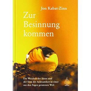 Kabat-Zinn, Jon Zur Besinnung kommen: Die Weisheit der Sinne und der Sinn der Achtsamkeit in einer aus den Fugen geratenen Welt Kabat-Zinn, Jon Zur Besinnung kommen: Die Weisheit der Sinne und der Sinn der Achtsamkeit in einer aus den Fugen geratenen Welt