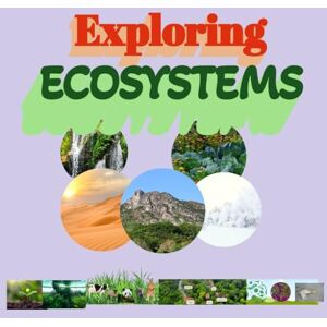 chubs, esmart Exploring Ecosystems: for kids 8 to 12 years Producers Herbivores carnivores Decomposers Types of Ecosystems Ocean Food Chain food chain food web chubs, esmart Exploring Ecosystems: for kids 8 to 12 years Producers Herbivores carnivores Decomposers Types of Ecosystems Ocean Food Chain food chain food web