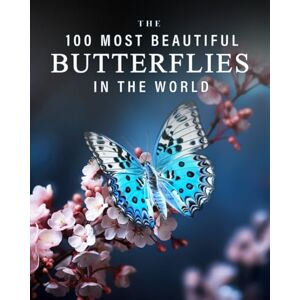 Blue Clover Books The 100 Most Beautiful Butterflies in the World: A minimalist picture book for kids or seniors with alzheimer's or dementia (The "Most Beautiful World" Series) Blue Clover Books The 100 Most Beautiful Butterflies in the World: A minimalist picture book for kids or seniors with alzheimer's or dementia (The "Most Beautiful World" Series)