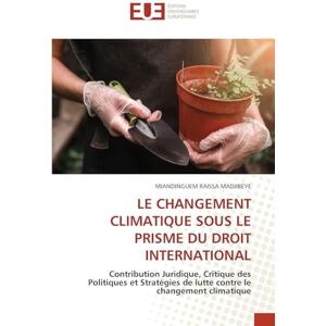Madjibeye, Miandinguem Raissa Le Changement Climatique Sous Le Prisme Du Droit International: Contribution Juridique, Critique des Politiques et Stratégies de lutte contre le changement climatique Madjibeye, Miandinguem Raissa Le Changement Climatique Sous Le Prisme Du Droit International: Contribution Juridique, Critique des Politiques et Stratégies de lutte contre le changement climatique